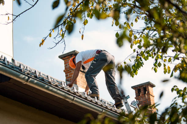 Best Metal Roofing Contractor  in West Salem, OH